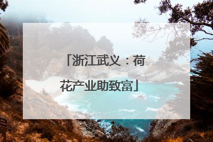 浙江武义：荷花产业助致富