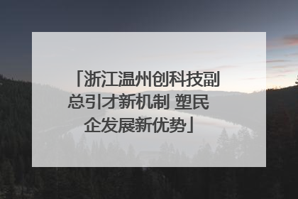 浙江温州创科技副总引才新机制 塑民企发展新优势
