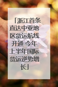 浙江首条直达中亚地区货运航线开通 今年上半年国际货运逆势增长