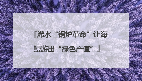 浠水“锅炉革命”让海鳗游出“绿色产值”