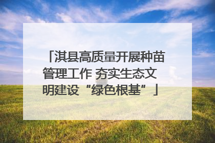 淇县高质量开展种苗管理工作 夯实生态文明建设“绿色根基”