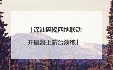 深汕惠揭四地联动开展海上防台演练
