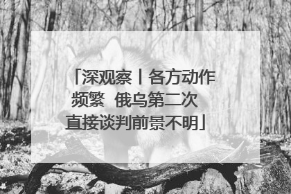 深观察丨各方动作频繁  俄乌第二次直接谈判前景不明