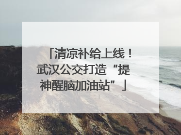清凉补给上线！武汉公交打造“提神醒脑加油站”