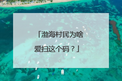 渤海村民为啥爱扫这个码？