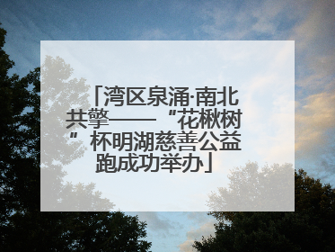 湾区泉涌·南北共擎——“花楸树”杯明湖慈善公益跑成功举办