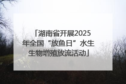湖南省开展2025年全国“放鱼日”水生生物增殖放流活动