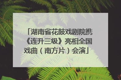 湖南省花鼓戏剧院携《连升三级》亮相全国戏曲（南方片）会演
