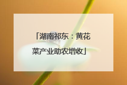 湖南祁东：黄花菜产业助农增收