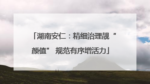 湖南安仁：精细治理靓“颜值” 规范有序增活力
