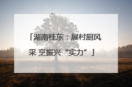 湖南桂东：展村厨风采 烹振兴“实力”