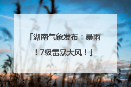 湖南气象发布：暴雨！7级雷暴大风！