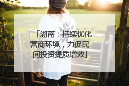 湖南：持续优化营商环境，力促民间投资提质增效