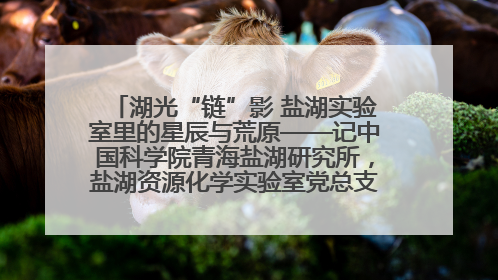 湖光“链”影 盐湖实验室里的星辰与荒原——记中国科学院青海盐湖研究所，盐湖资源化学实验室党总支书记、副主任刘忠