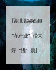 湖北省郧西县“花产业”带来好“钱”景