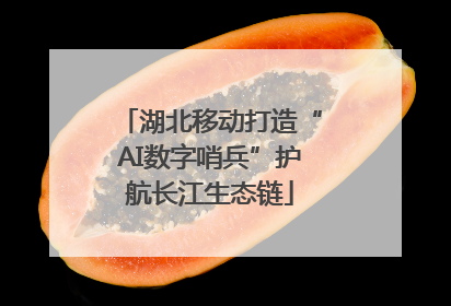 湖北移动打造“AI数字哨兵”护航长江生态链
