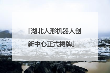 湖北人形机器人创新中心正式揭牌