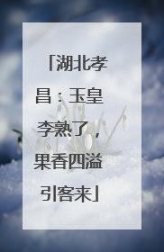湖北孝昌：玉皇李熟了，果香四溢引客来