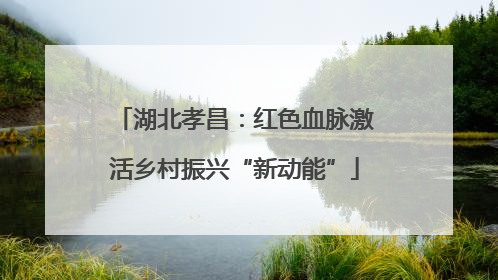 湖北孝昌：红色血脉激活乡村振兴“新动能”