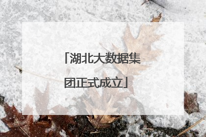 湖北大数据集团正式成立
