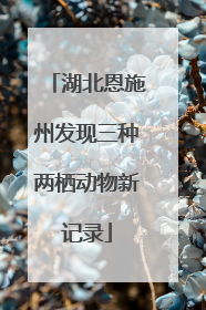 湖北恩施州发现三种两栖动物新记录