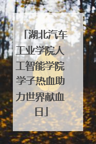 湖北汽车工业学院人工智能学院学子热血助力世界献血日