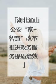 湖北通山公安“家+智慧”改革推进政务服务提质增效