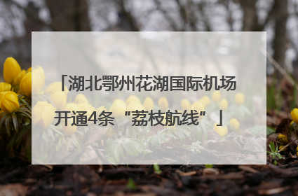 湖北鄂州花湖国际机场开通4条“荔枝航线”