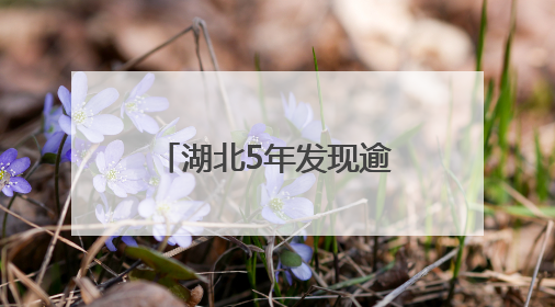 湖北5年发现逾20个新物种