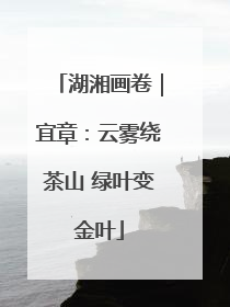 湖湘画卷｜宜章：云雾绕茶山 绿叶变金叶