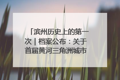 滨州历史上的第一次｜档案公布：关于首届黄河三角洲城市经济博览会暨发展论坛情况的总结报告