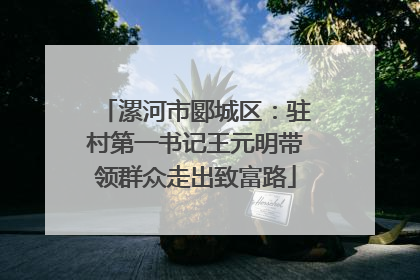 漯河市郾城区：驻村第一书记王元明带领群众走出致富路