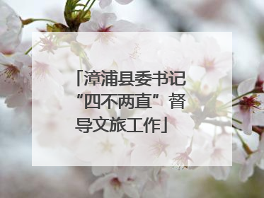漳浦县委书记“四不两直”督导文旅工作