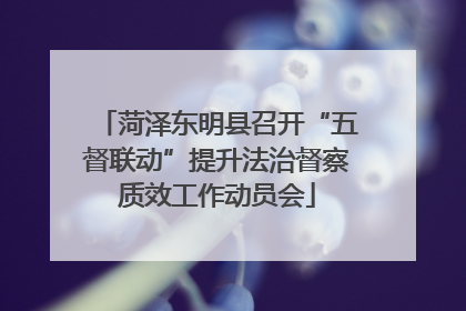 菏泽东明县召开“五督联动”提升法治督察质效工作动员会