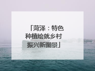 菏泽：特色种植绘就乡村振兴新图景