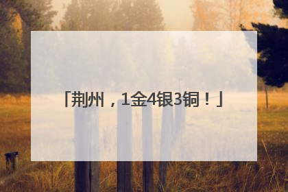 荆州，1金4银3铜！
