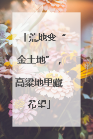 荒地变“金土地”，高粱地里藏希望