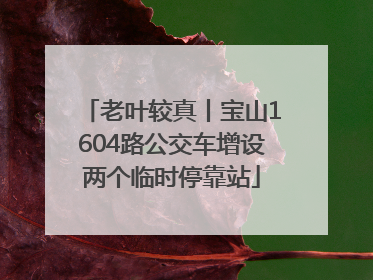 老叶较真丨宝山1604路公交车增设两个临时停靠站