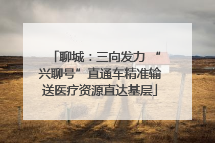 聊城：三向发力 “兴聊号”直通车精准输送医疗资源直达基层
