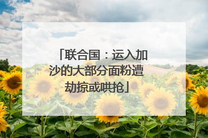 联合国：运入加沙的大部分面粉遭劫掠或哄抢