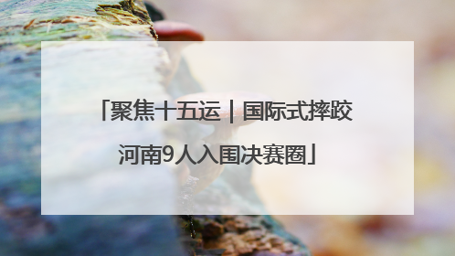 聚焦十五运｜国际式摔跤 河南9人入围决赛圈