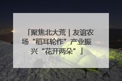 聚焦北大荒｜友谊农场“稻耳轮作”产业振兴“花开两朵”