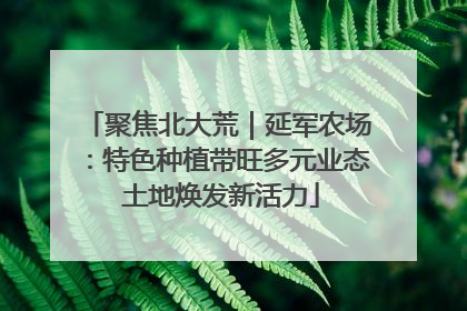 聚焦北大荒｜延军农场：特色种植带旺多元业态 土地焕发新活力