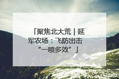 聚焦北大荒｜延军农场：飞防出击 “一喷多效”
