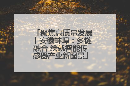 聚焦高质量发展丨安徽蚌埠：多链融合 绘就智能传感器产业新图景