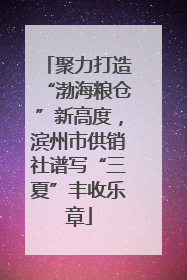 聚力打造“渤海粮仓”新高度，滨州市供销社谱写“三夏”丰收乐章