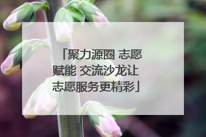 聚力源圈 志愿赋能 交流沙龙让志愿服务更精彩