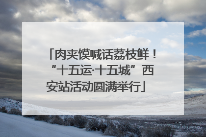肉夹馍喊话荔枝鲜！“十五运·十五城”西安站活动圆满举行