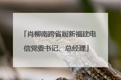 肖柳南跨省履新福建电信党委书记、总经理