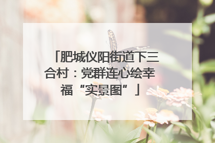 肥城仪阳街道下三合村：党群连心绘幸福“实景图”